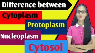 Difference between ProtoplasmCytoplasmCytosol Nucleoplasm  cell apnasapnajrf [upl. by Lareena]