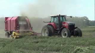 Two Versatile 305 Tractors Harvesting Mint in Northern Indiana with New Holland Forage Harvesters [upl. by Ahen330]