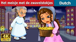 Het meisje met de zwavelstokjes  The Little Match Girl Story in Dutch  Dutch Fairy Tales [upl. by Laurentium]