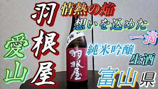 63『羽根屋 愛山 純米吟醸 生酒』 [upl. by Euqinahc]