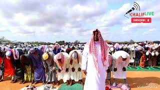 Eid al Adha prayer 16th June 2024 l Darul Hikma ground Bura Town [upl. by Ehlke]