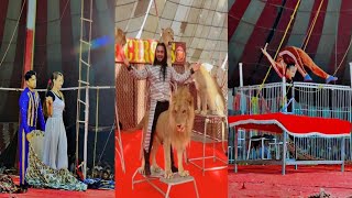 CircusLion Tigers Magic Girls Show Must Watch subscribe please support me [upl. by Brod]