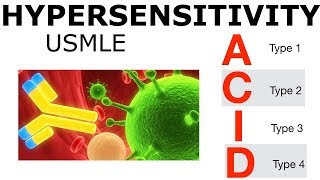 Hypersensitivity  USMLE [upl. by Wadesworth]