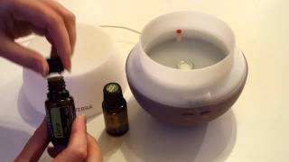 How to use a diffuser for your Essential Oils [upl. by Marpet]