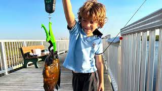 Fishing Loxahatchee Florida Massive Gator Snatches Massive Catch Viva F￼amily [upl. by Rog]