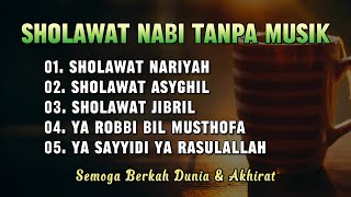 SHOLAWAT NABI TANPA MUSIK  Menenangkan Diri Obat Stress Penghilang Galau Pengantar Tidur [upl. by Raney194]