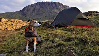 Wild Camping Adventure with my Dog  Peace and Solitude  Lake District [upl. by Lyell]