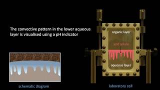 Acceleration of convective dissolution by chemical reaction in porous media [upl. by Yendyc527]