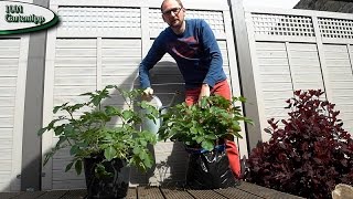 Gartentipp März 0317 Kartoffeln im Sack für Balkon Terasse und Garten [upl. by Eiramyllek]