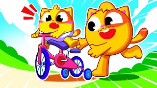 Learn To Ride A Bike Song  Playing Safely for Kids  Funny Songs amp Nursery Rhymes by Toddler Zoo [upl. by Torrlow889]