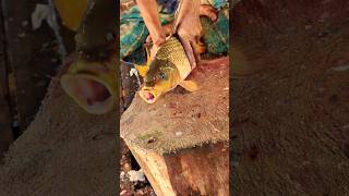 Perfect Size Carp Fish Cutting Skills In Expert Cutter 😱 shorts [upl. by Greenstein]