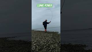 GUNKI POWER fishing gunki fish illex bassfishing catchandrelease happy sea [upl. by Liscomb]