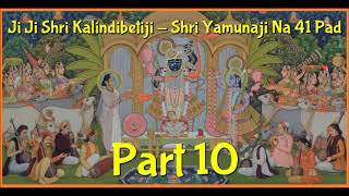 Yamunaji na pan kai rite karva by shri Kalindi Betiji [upl. by Auof697]