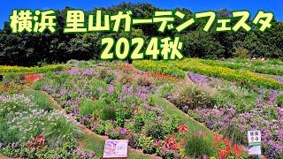 【4K】横浜里山ガーデン「大花壇」2024秋 [upl. by Yanarp982]