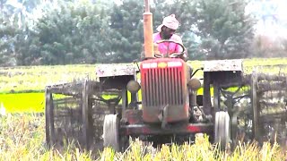 Mahindra 575 DI puddling video by cage wheels tractor powerful Dileep AtoZ videos [upl. by Imoan]