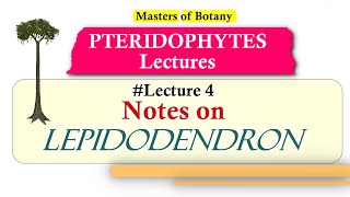 Lecture 4  Lepidodendron Fossil Life Cycle  Pteridophyta Lecture Notes [upl. by Htiekel]