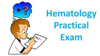 Hematology Practical Exam [upl. by Bellina567]