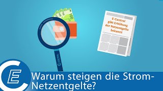 EControl erklärt Warum steigen die Stromnetzentgelte [upl. by Ahcsropal]