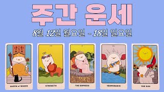 타로주간 8월 셋째 주직장금전시험관계애정컨디션 [upl. by Aratal]