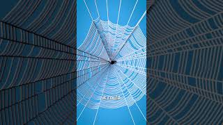 Spider Silk As A Bulletproof Vest 🤔 [upl. by Tullus198]