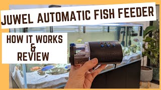 Juwel Easy Feed automatic fish feeder review  how to use it and how long it lasts [upl. by Aan]