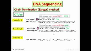 Chain Termination Sanger method Arabic Dr Essam Ibrahim [upl. by Haissi869]