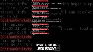 linux uptime coding linux linuxtutorials linuxcommandlinetutorial ubuntu sysadmin [upl. by Rozalin]