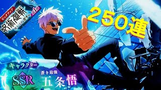 250連ッ！！早退しない五条悟が欲しい！！【ファンパレ】 [upl. by Nabalas234]