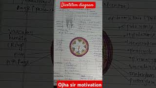 dicot stem full detail notes 2024 aims delhi mbbsmotivation [upl. by Myrna]