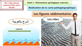 les figures sédimentaires  les rides 1 Bac sciences expérimentales شرح بالعربية [upl. by Borer]