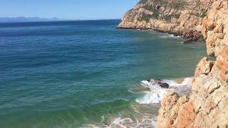 Great White Shark Hunting Seals in Robberg Nature Reserve Plettenberg Bay Seal Gives Finger [upl. by Aerdnua559]