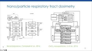 IVIVEPBPK Modeling for Inhalation Toxicity Testing [upl. by Nidnarb]