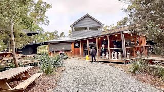 Bruny Island Cheese Company short visit review  Bruny Island Tasmania Australia 🇦🇺 [upl. by Yemrej]