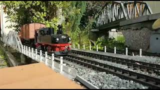 Medlers Gartenbahn 2021  IIk und IVk im Rollwagenbetrieb [upl. by Partan548]