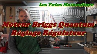 Moteur Briggs quantum problème régime  Le réglage régulateur [upl. by Olgnaed]