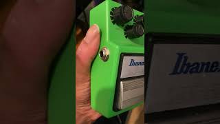 Ibanez ts9 tube screamer guitar pedal guitarpedals guitarpedalboard rock rockstar punk metal [upl. by Hewes]