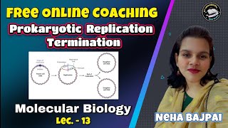 Prokaryotic Replication Termination I Lec  13  Molecular Biology I BSc I MSc Classes [upl. by Allesig]