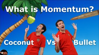 What is Momentum [upl. by Pain101]