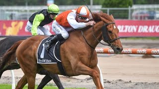 Caulfield  Zipping Classic Day  Rosehill  Ascot  Morphettville  Doomben  Horse Racing Tips [upl. by Ashla]