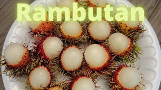 This Is How I Eat Rambutan Fruit [upl. by Nwaf327]