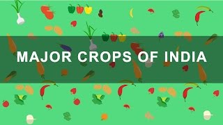 Major Crops of India  Rabi Kharif Zaid crops  Indian Agriculture Geography [upl. by Tabina]