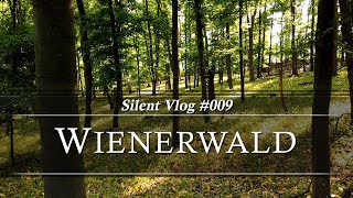 🇦🇹 Schwarzberg  Wienerwald  Silent Vlog 009 [upl. by Eberto]