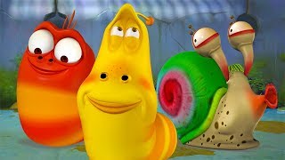 LARVA  SLOW AS A SNAIL  Cartoons  Comics  LARVA Official [upl. by Julius]