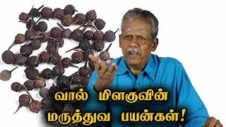 வால் மிளகுவின் மருத்துவ பயன்கள்  Cubebs Vaal Milagu Health Benefits in Tamil [upl. by Ahcilef580]