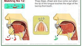 Makhraj No 1217  Makhraj of Zaal Thaa Saa and Zua  Articulation Points of Arabic Letters [upl. by Ailegave266]