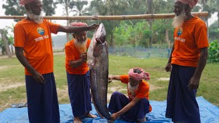 Giant Wallago Fish Cutting amp Cooking by Grandpa  Big Boal Fish Aloo Bhuna Curry for Special People [upl. by Keen]