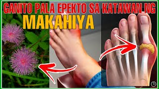 ANG HALAMANG UGAT NA MAKAKAALIS NG INYONG URIC ACID BONE AT JOINT PAINS ALAMIN  BHES TV [upl. by Jo-Anne721]