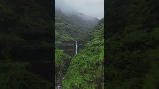 Marleshwar WaterfallRatnagiriMaharashtra shorts youtubeshorts waterfall nature reels viral [upl. by Mohr]