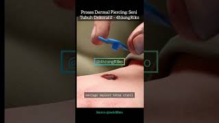 Proses Dermal Piercing Seni Tubuh Dekoratif  4hiungRiko [upl. by Nappie]