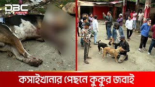 খাসি বলে কুকুরের মাংস বিক্রি বরিশালে  DBC NEWS Special [upl. by Utta]